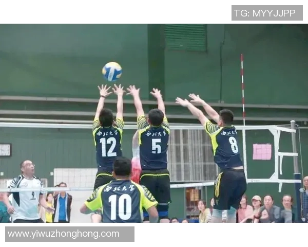 深圳排球队战术解析:聚焦团队协作与技术创新的完美结合 深圳排球队战术解析:聚焦团队协作与技术创新的完美结合