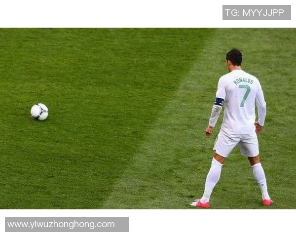 笨狼之足球明星带你领略绿茵场上的奇妙冒险与成长之路