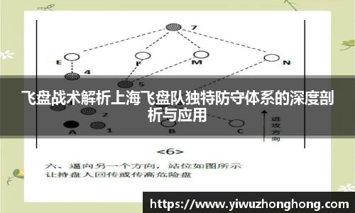飞盘战术解析上海飞盘队独特防守体系的深度剖析与应用