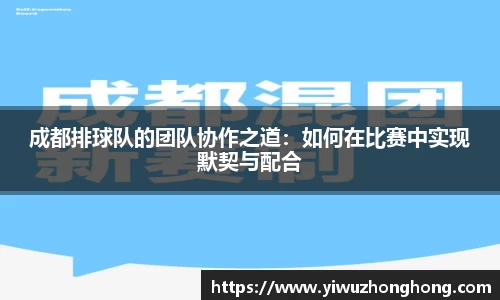 成都排球队的团队协作之道：如何在比赛中实现默契与配合